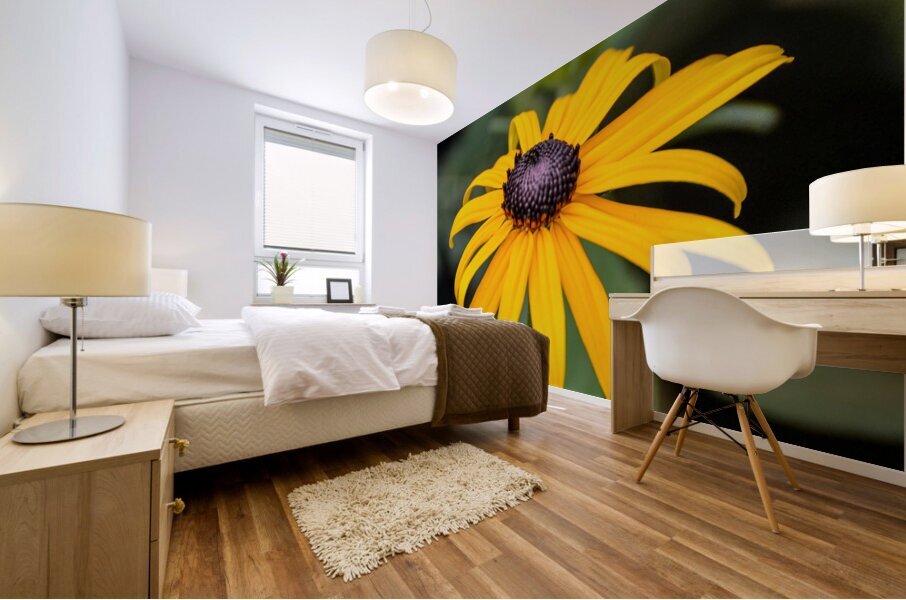 rudibeckia Mural print