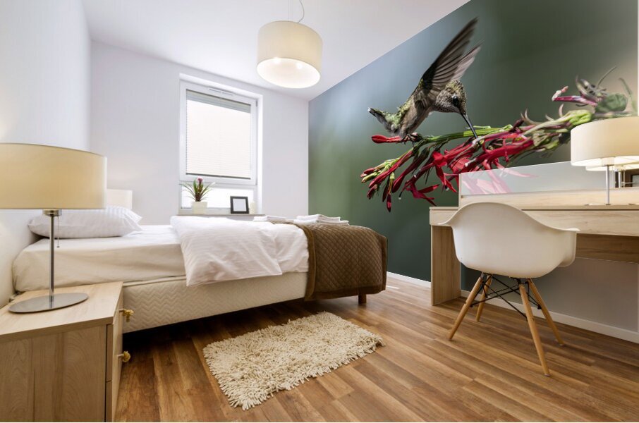 Hummingbird Nectar Break 8504951 Mural print