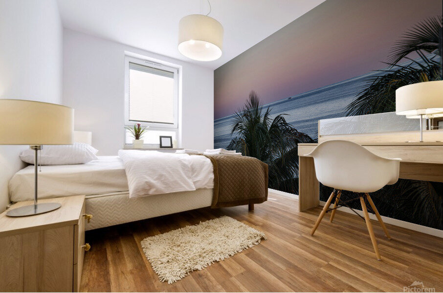 Florida-Setting Sun Mural print