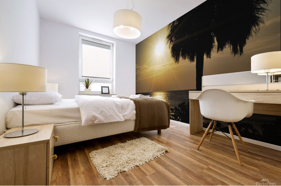 Florida-Watching the Setting Sun Mural print