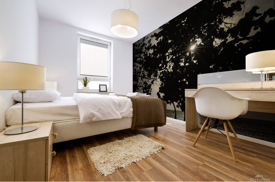 SUNBURST PF0 7006 Edit Edit Mural print