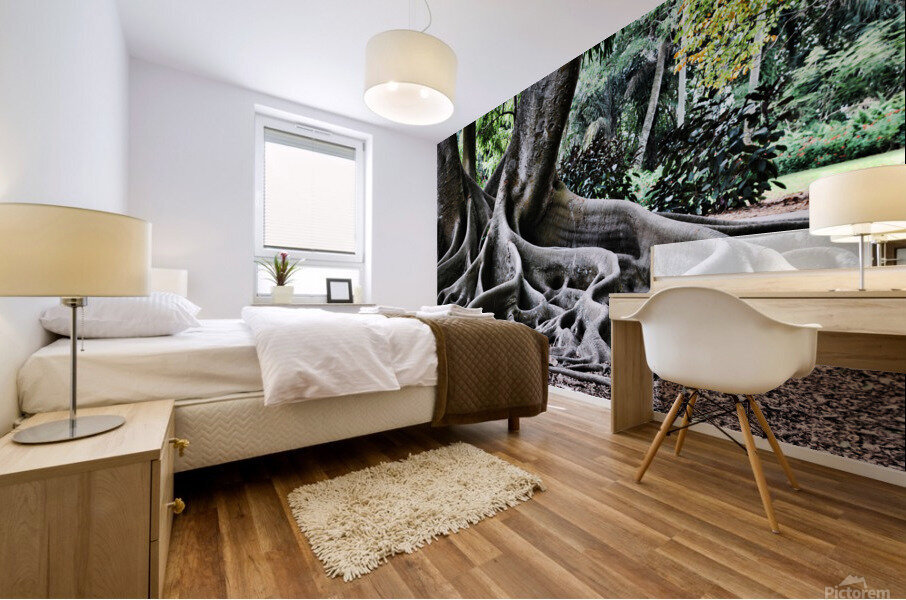 BIG ROOTS Mural print