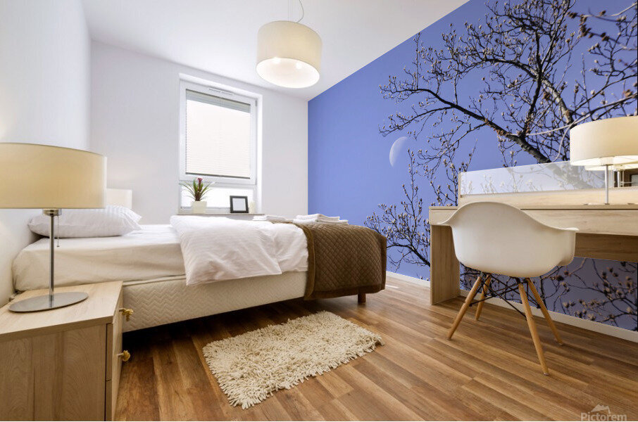 MORNING MOON Mural print