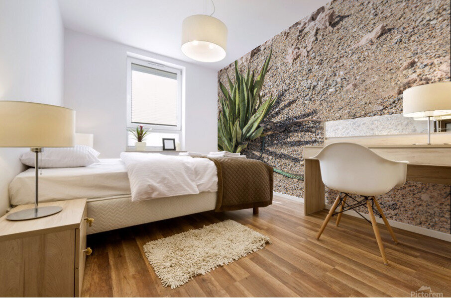 HIDE AND SEEK 7489 Mural print