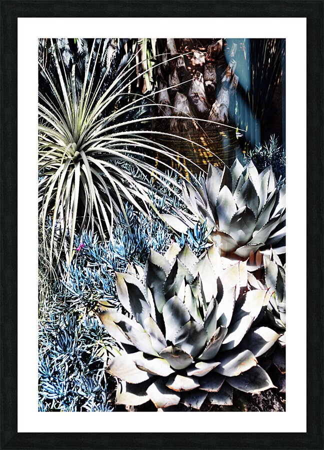 DESERT GARDEN Picture Frame print