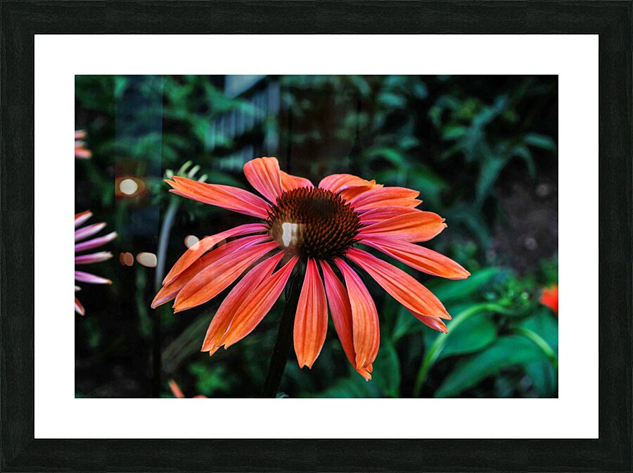 SPICY Picture Frame print