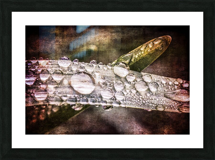 RAIN DROPS TEXTURED Picture Frame print