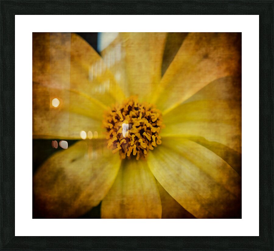 MELLOW YELLOW 2 Picture Frame print