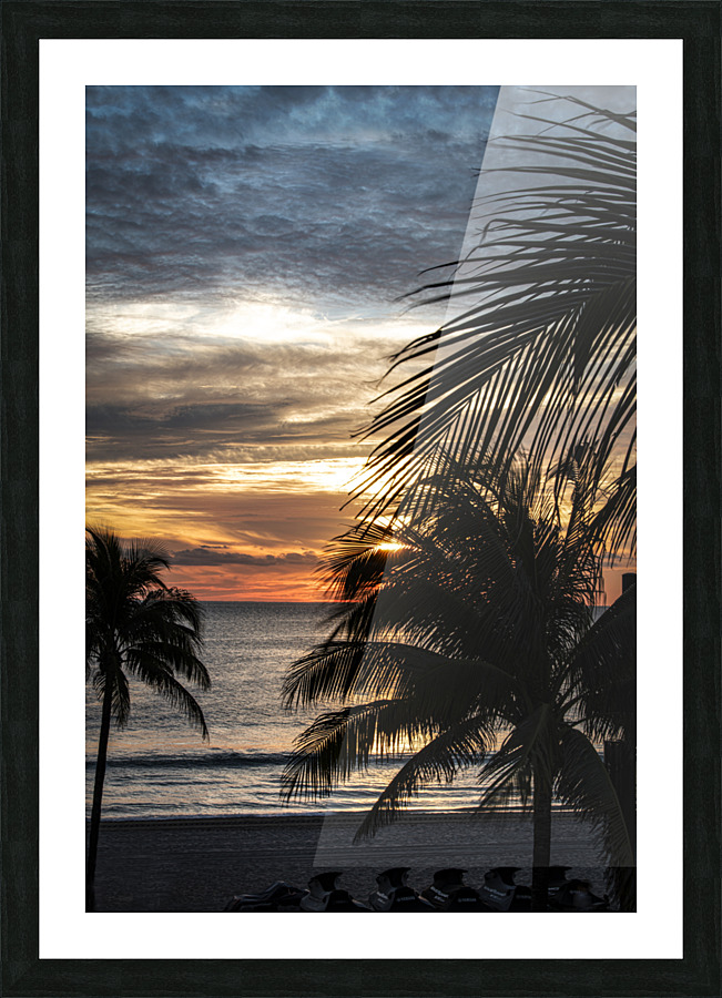 Florida-Early Riser Picture Frame print