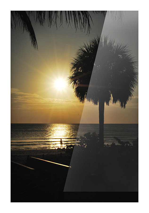 Florida-Watching the Setting Sun Picture Frame print