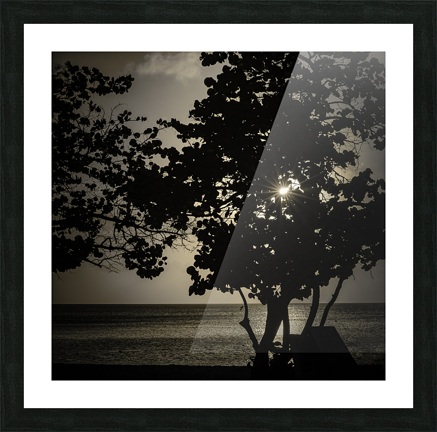 SUNBURST PF0 7006 Edit Edit Picture Frame print