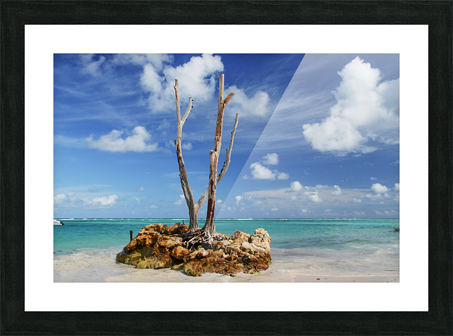LONE TREE 2 Picture Frame print