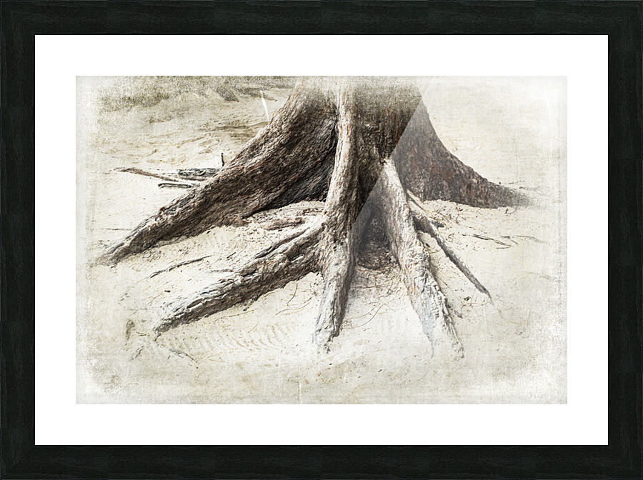TREES-Octopus Roots Picture Frame print