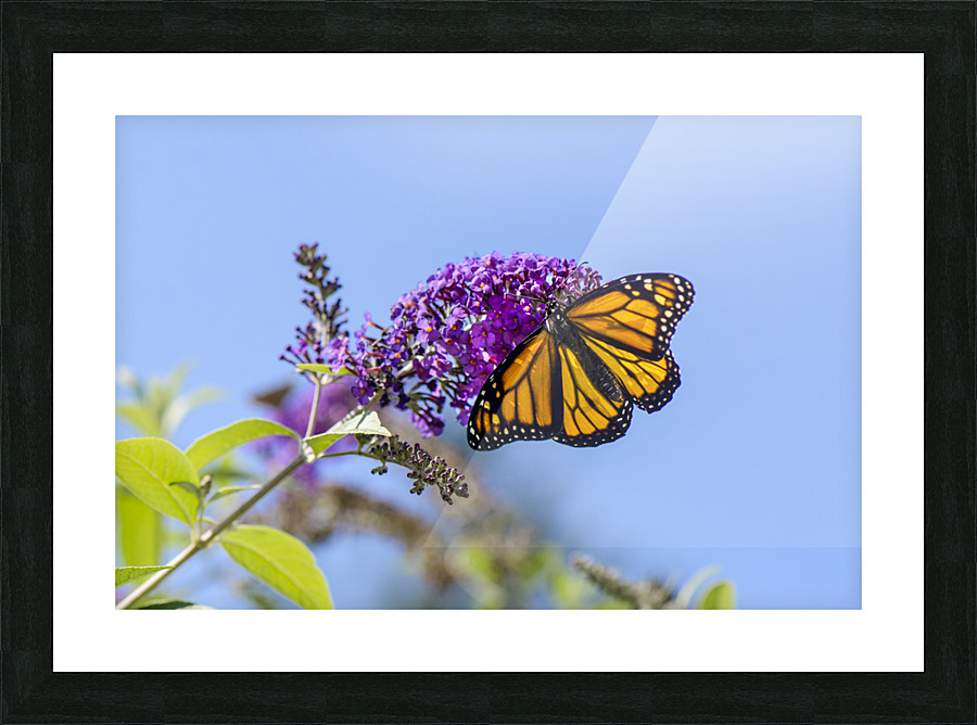 CHANGING PLACES DSC 3657 Picture Frame print