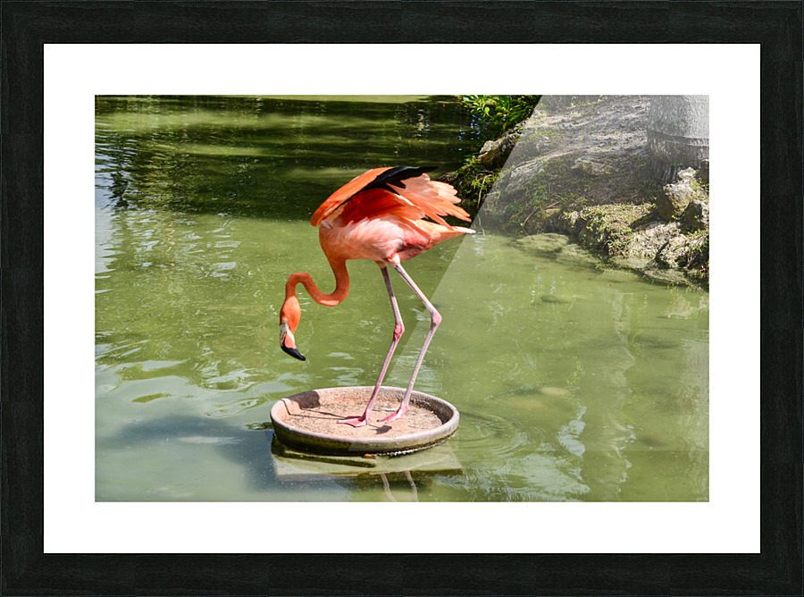 LONER Picture Frame print
