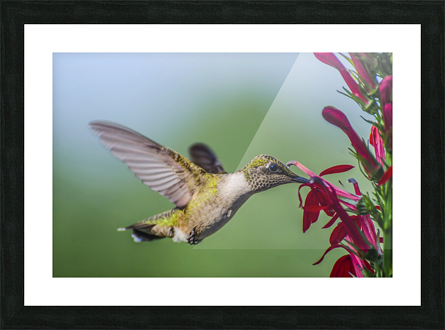 TASTY Picture Frame print