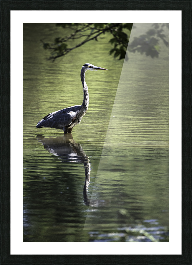WADING 0372 2 Picture Frame print