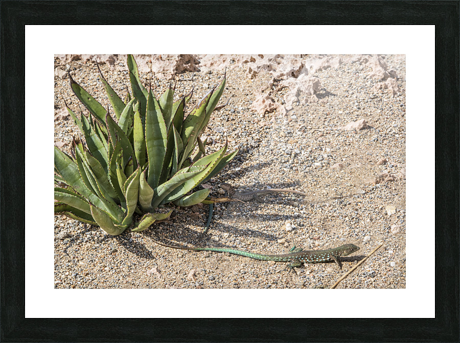 HIDE AND SEEK 7489 Picture Frame print