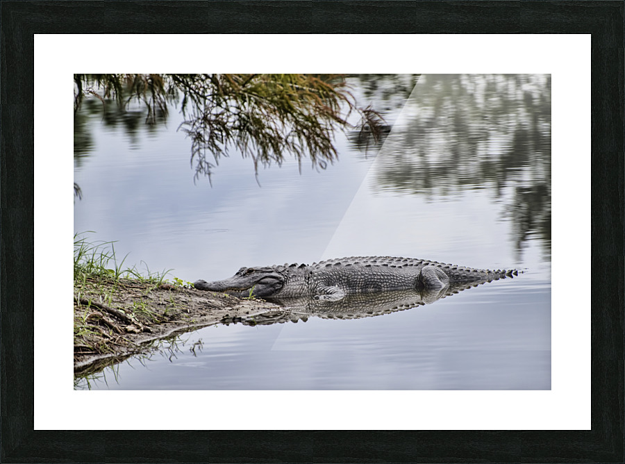 WAITING Picture Frame print