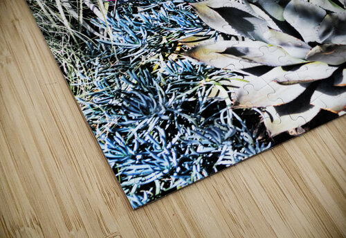 DESERT GARDEN JMWolinsky Photography puzzle