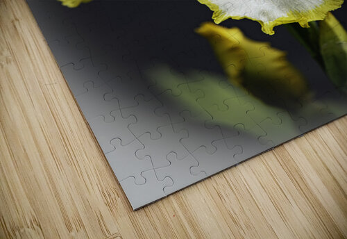 Iris Yellow Iris wv Edit copy JMWolinsky Photography puzzle
