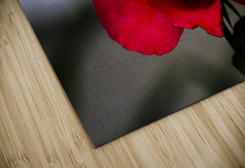ROSIE JMWolinsky Photography puzzle