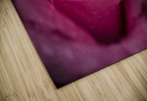 McCartney Rose JMWolinsky Photography puzzle