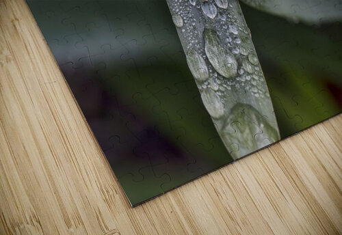 RAIN DROPS JMWolinsky Photography puzzle