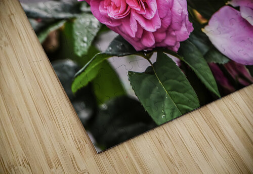 ROSY JMWolinsky Photography puzzle