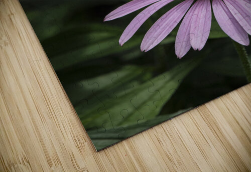TRIPLE SPELLBOUND  PF03291 JMWolinsky Photography puzzle
