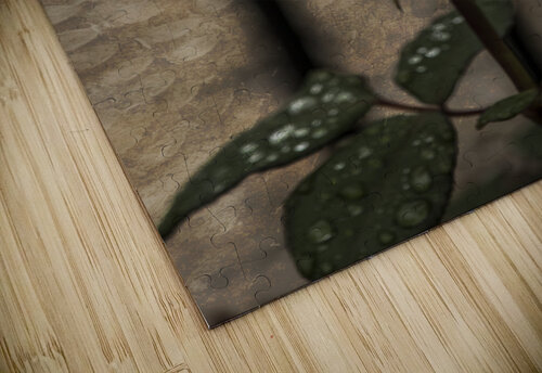 SINGLE PRISTINE JMWolinsky Photography puzzle