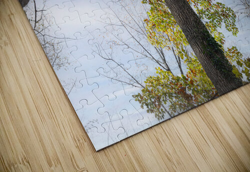 Trees-Almost Bare JMWolinsky Photography puzzle