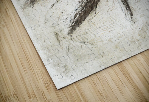 TREES-Octopus Roots JMWolinsky Photography puzzle