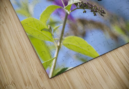 CHANGING PLACES DSC 3657 JMWolinsky Photography puzzle
