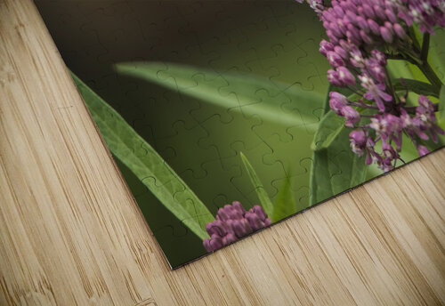PROFILE PF03143 JMWolinsky Photography puzzle