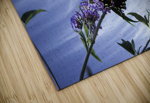 RESTING PF0 9335 JMWolinsky Photography puzzle