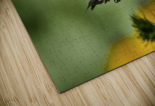 BACK FOR MORE JMWolinsky Photography puzzle