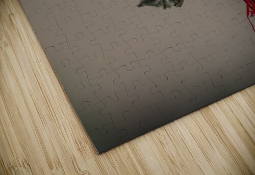 HANDSONE DUDE JMWolinsky Photography puzzle