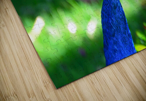 HEAD SHOT JMWolinsky Photography puzzle