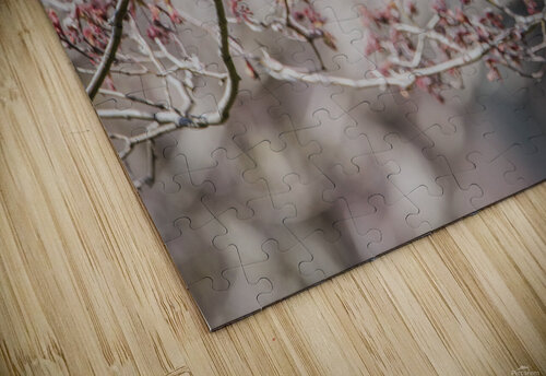 NEST SCOUTING  PF02438 JMWolinsky Photography puzzle