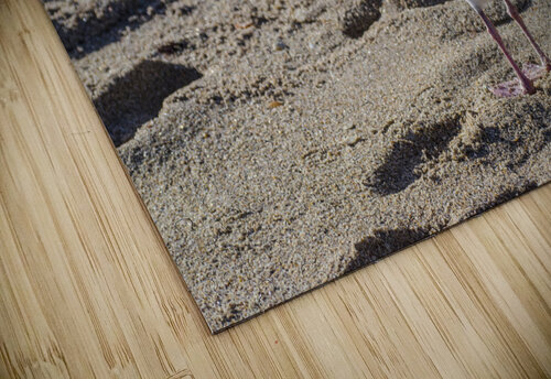 SORRY JMWolinsky Photography puzzle