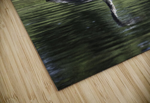 WADING 0372 2 JMWolinsky Photography puzzle
