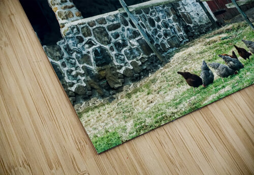 CHESTER COUNTY CHICKENS JMWolinsky Photography puzzle