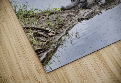 WAITING JMWolinsky Photography puzzle