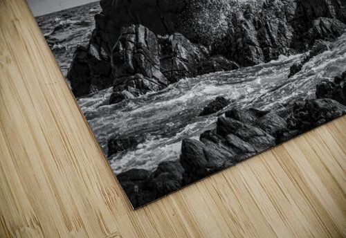 ARUBA ROCKS BW JMWolinsky Photography puzzle