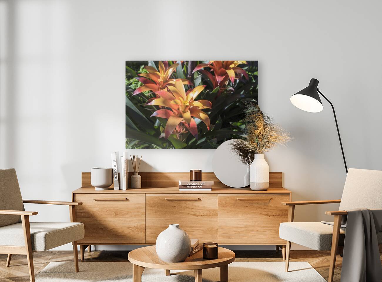 BROMELIADS  DSC 2500 Reproduction