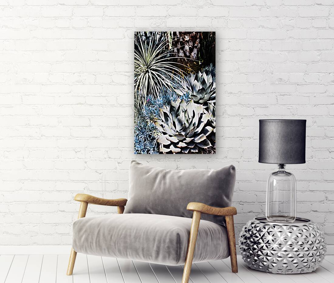 DESERT GARDEN Reproduction