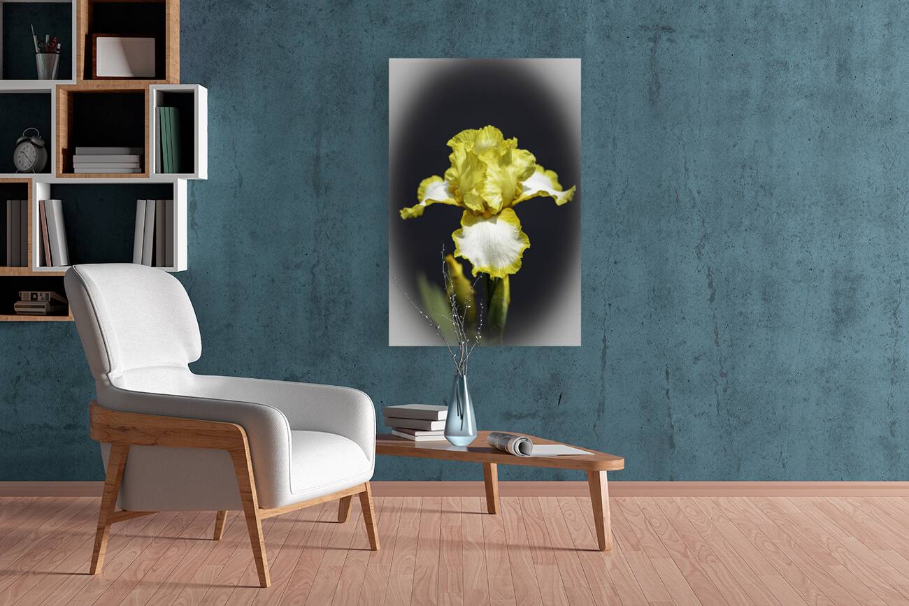 Iris Yellow Iris wv Edit copy Reproduction