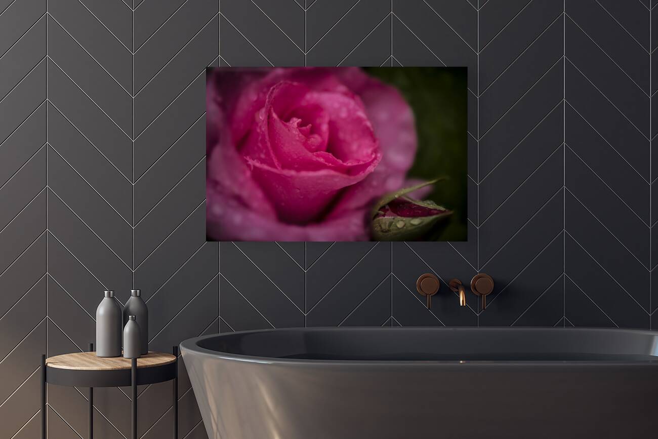 McCartney Rose Reproduction