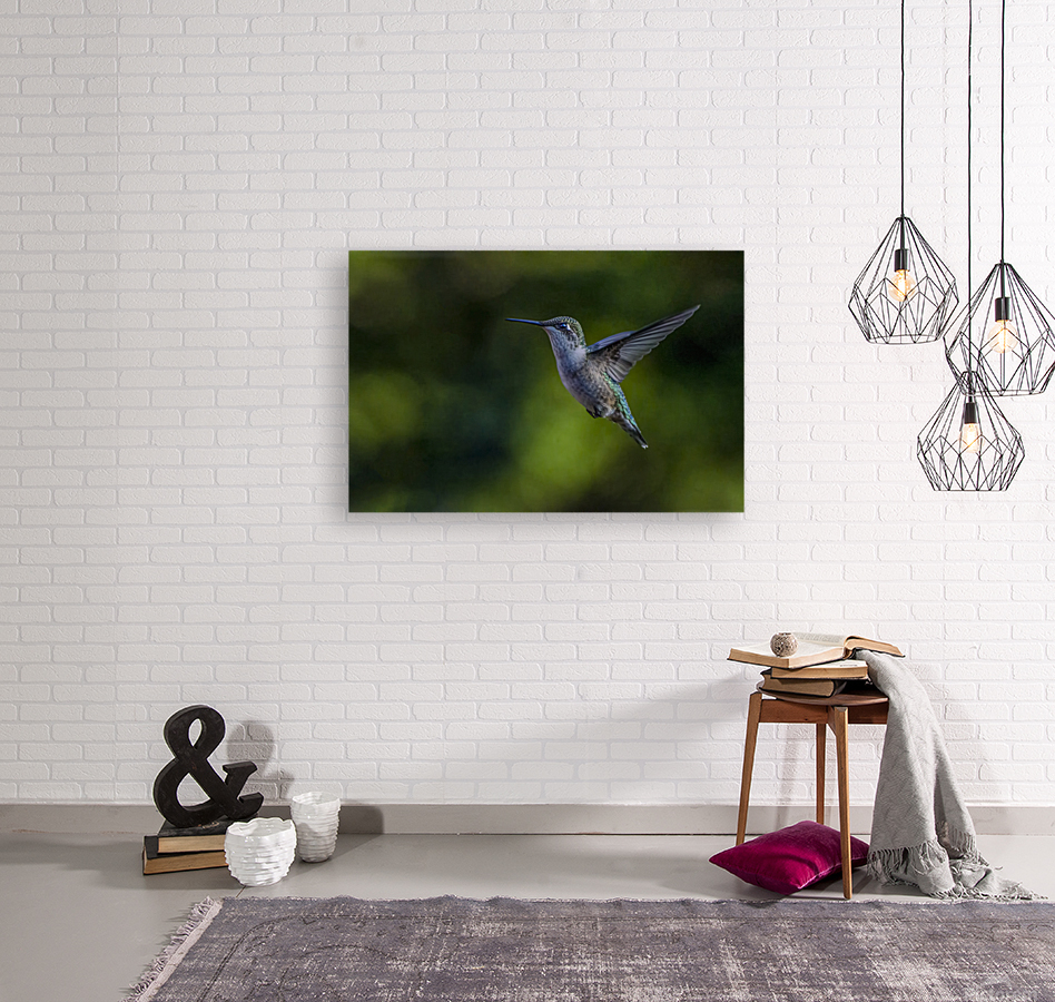 HUMMINGBIRD-PASSING THROUGH Reproduction